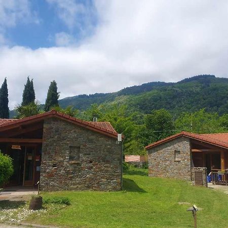 Chalets A 10 Minutes De Foix Mercus-Garrabet Bagian luar foto
